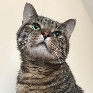 Meet your Posher, Jenny